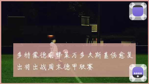 多特蒙德前锋莱万多夫斯基伤愈复出将出战周末德甲联赛