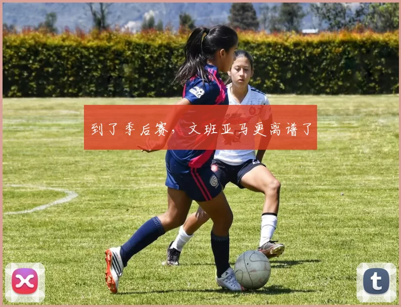 到了季后赛，文班亚马更离谱了