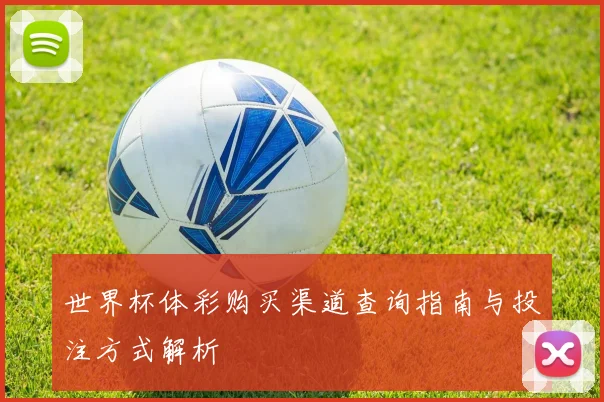 世界杯体彩购买渠道查询指南与投注方式解析