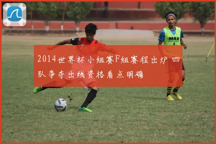 2014世界杯小组赛F组赛程出炉 四队争夺出线资格看点明确