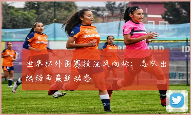 世界杯外围赛投注风向标:各队出线赔率最新动态
