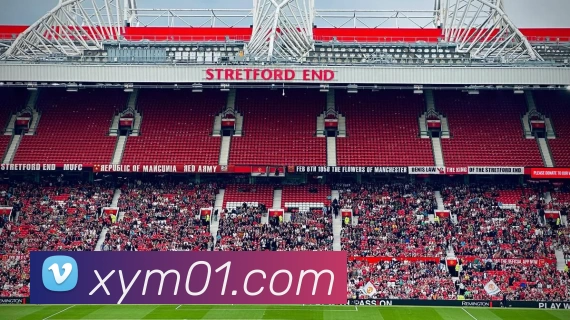 多媒体互动体验